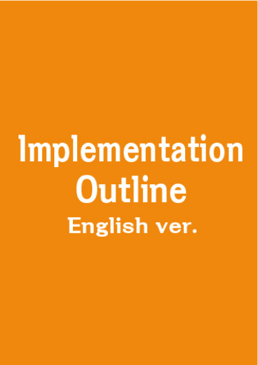 Implementation Outline