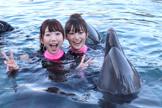 ドルフィンセンター