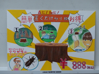 土佐女子高等学校