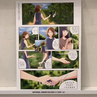 NATIONAL JUNIOR COLLEGE